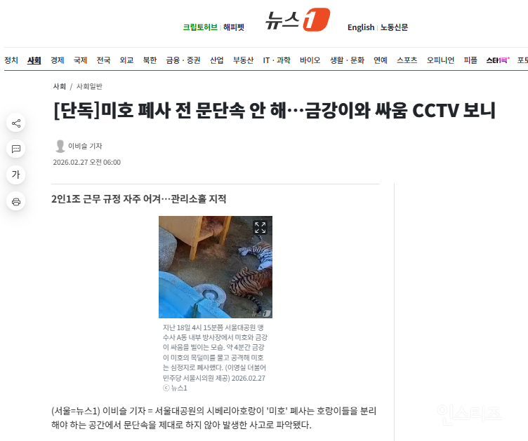 [단독] 미호 폐사 전 문단속 안 해…금강이와 싸움 CCTV 보니 (서울대공원 호랑이 미호 | 인스티즈