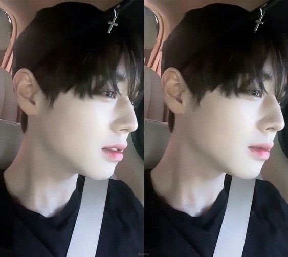 [잡담] 박지훈 코 진짜 예술임 | 인스티즈