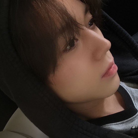 [잡담] 박지훈 코 진짜 예술임 | 인스티즈