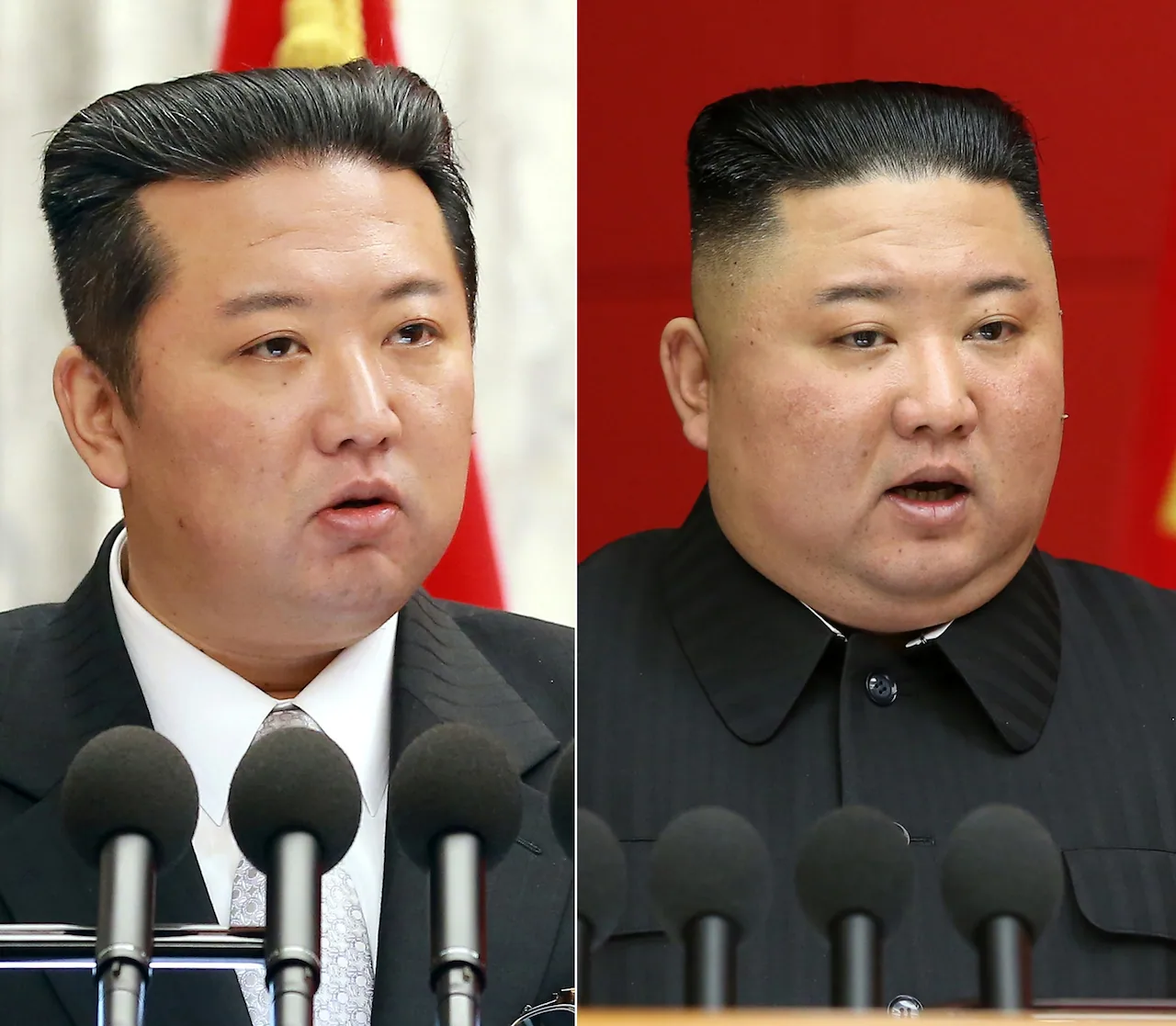 [잡담] 돼지사진주의) 김정은 머리 볼때마다 신기하지않음? | 인스티즈