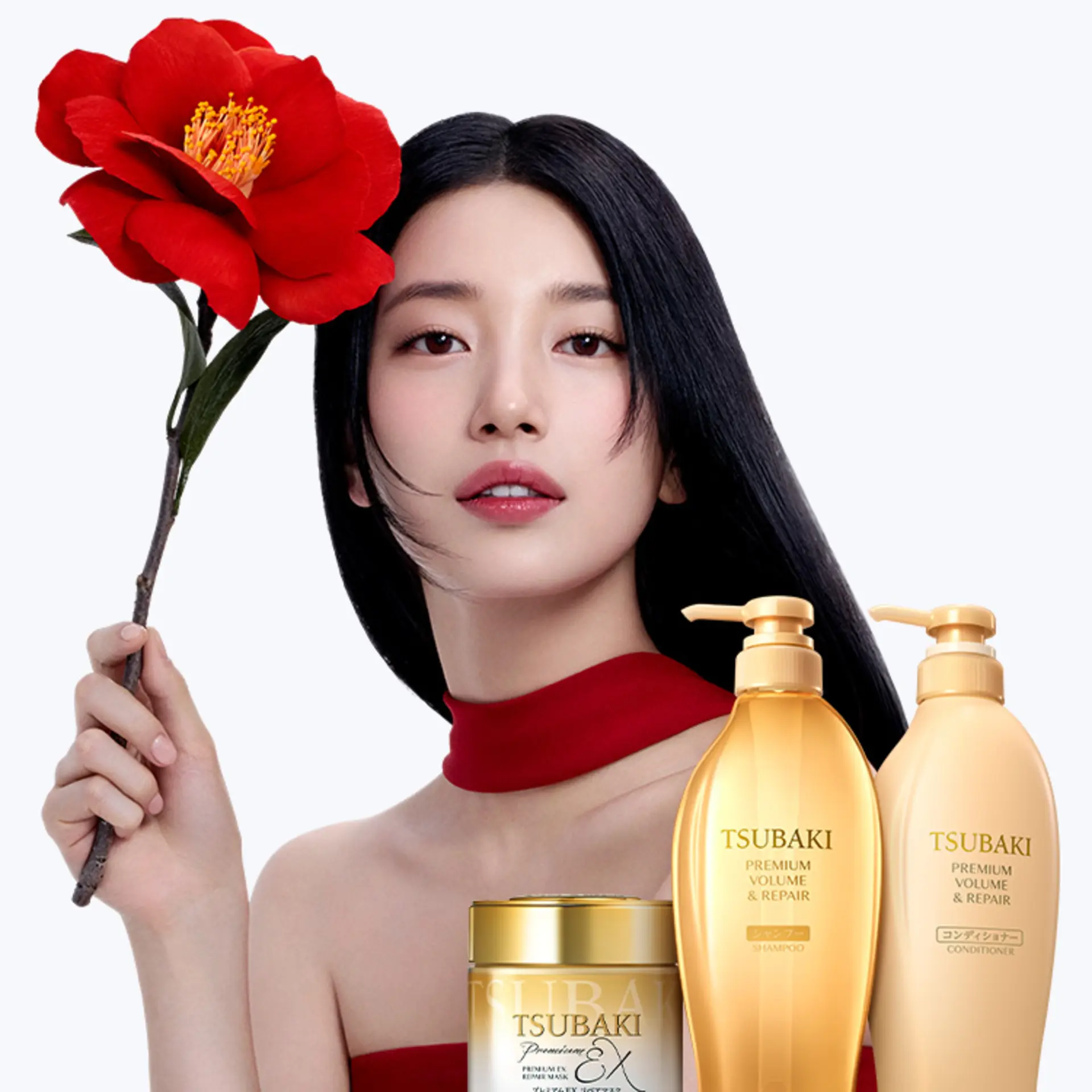 [잡담] 츠바키 수지 🌺 | 인스티즈