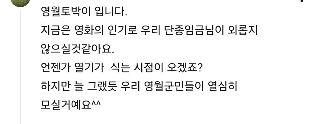 [잡담] 영월군민분이 댓글 단 거 넘 감동이다ㅠㅠㅠㅠ | 인스티즈