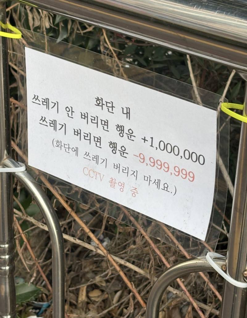 [잡담] 나 행운 백만걸임 지금 | 인스티즈