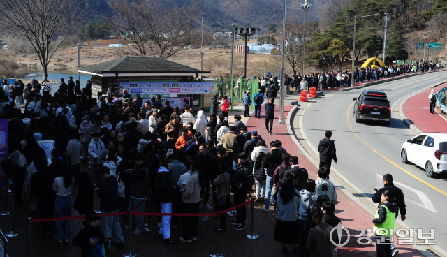 [정보/소식] 지금 제일 핫플이라는 강원도 영월 청령포 상황 | 인스티즈