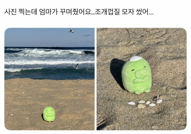 [잡담] 한문장으로 온 세상이 부러워짐 | 인스티즈