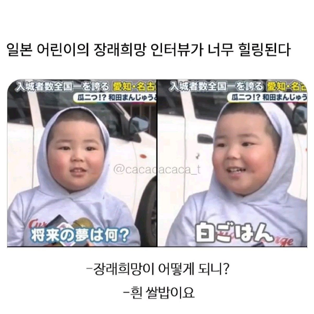 [잡담] 아...개귀엽다 | 인스티즈