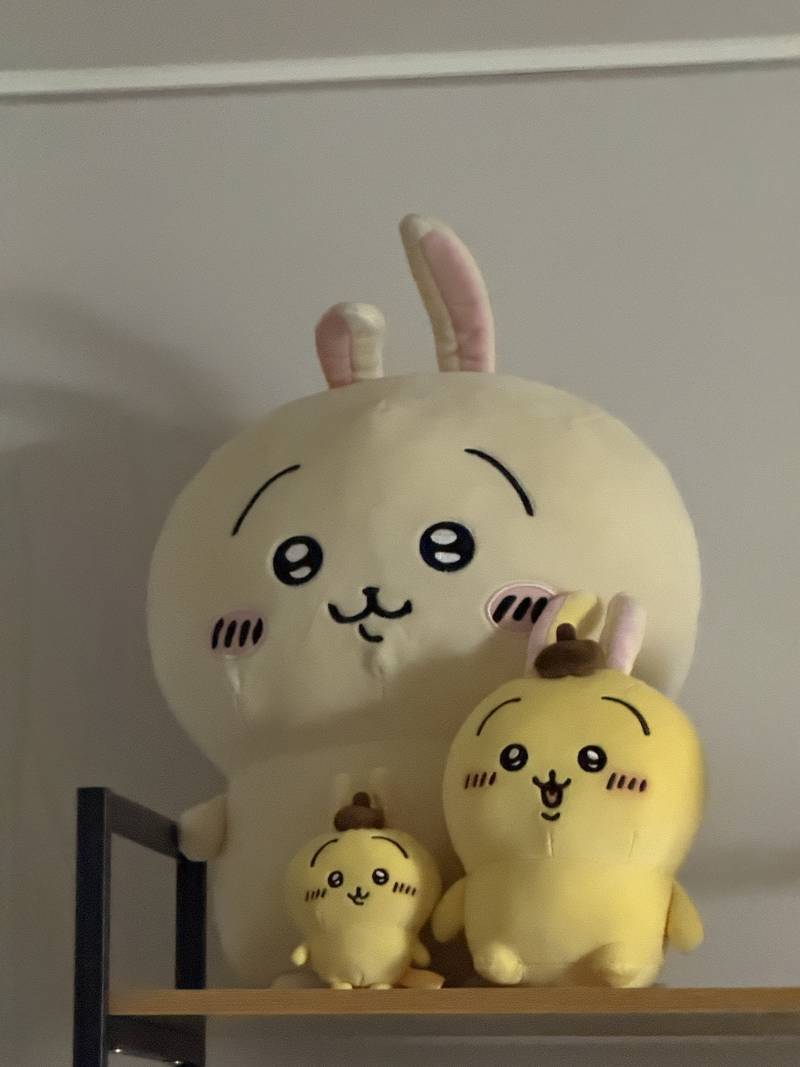 [잡담] 나 우사기 모을거야 | 인스티즈