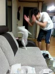[잡담] 이상원 정상현 이거 이짤 같음 ㅋㅋㅋㅋㅋㅋㅋㅋ | 인스티즈