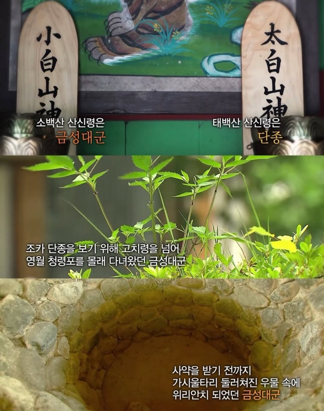 [잡담] 수양이 금성대군 우물 안에 가둬놨었대 | 인스티즈