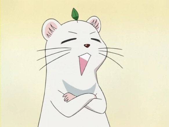 [잡담] 얘 알면 MZ임 | 인스티즈