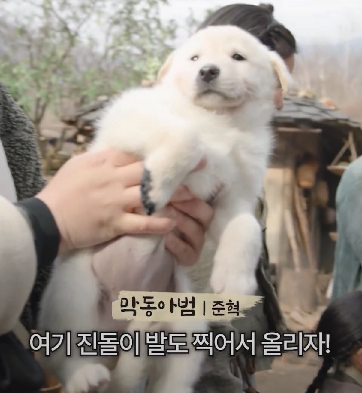 [잡담] 왕사남에서 주연배들만큼 인상깊었던 배우 | 인스티즈