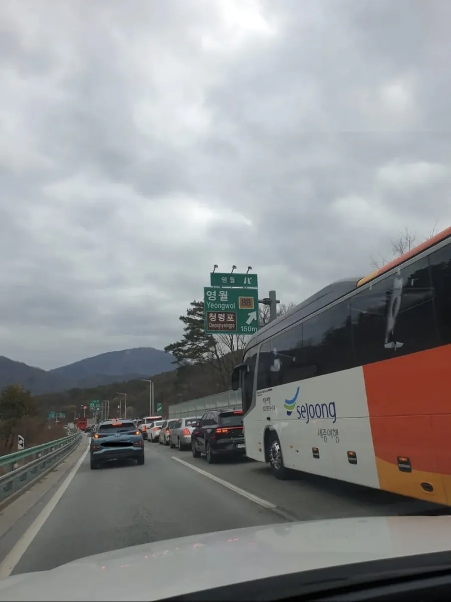 [정보/소식] 연휴를 맞아 사람들이 몰린 영월 청령포 근황 | 인스티즈