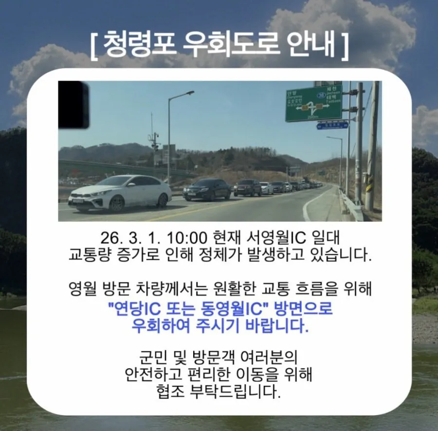 [정보/소식] 연휴를 맞아 사람들이 몰린 영월 청령포 근황 | 인스티즈