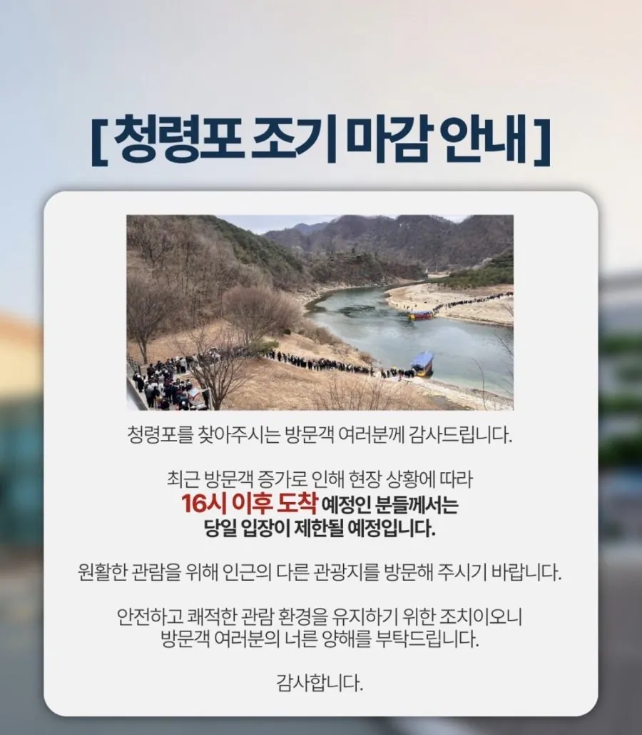 [정보/소식] 연휴를 맞아 사람들이 몰린 영월 청령포 근황 | 인스티즈