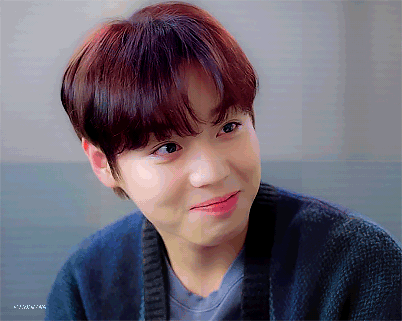 [잡담] 난 박지훈 세상 참 예쁜 오드리 강기훈도 좋아함... | 인스티즈