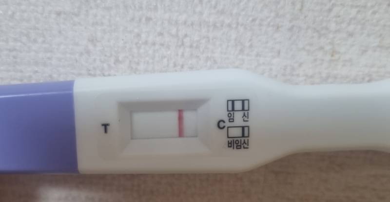 [잡담] 이거 ktx타고 가면서 봐도 한줄이지ㅠㅠ? | 인스티즈