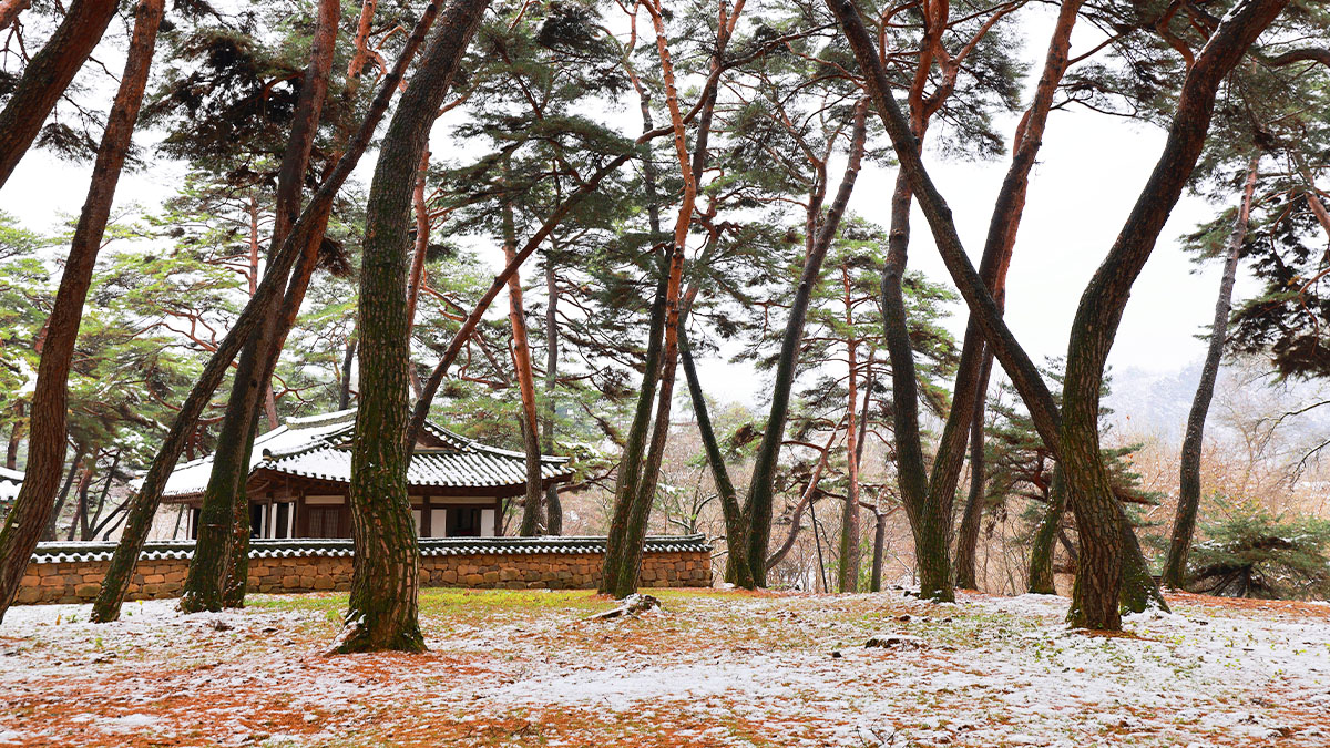 [잡담] 영월 사진 구경하는데 사람들이 갈만하네 | 인스티즈