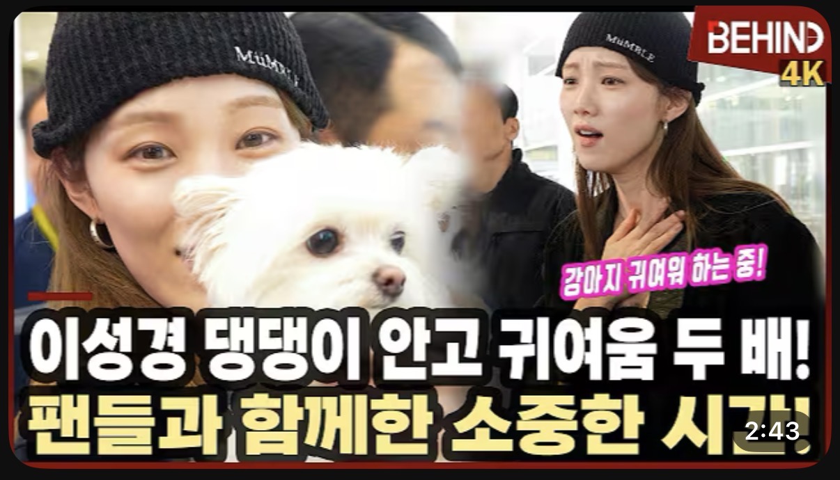 [잡담] 이성경 냥이 아닌것 같은데 ㅋㅋ 오늘 입국보니 댕이 같은데 | 인스티즈