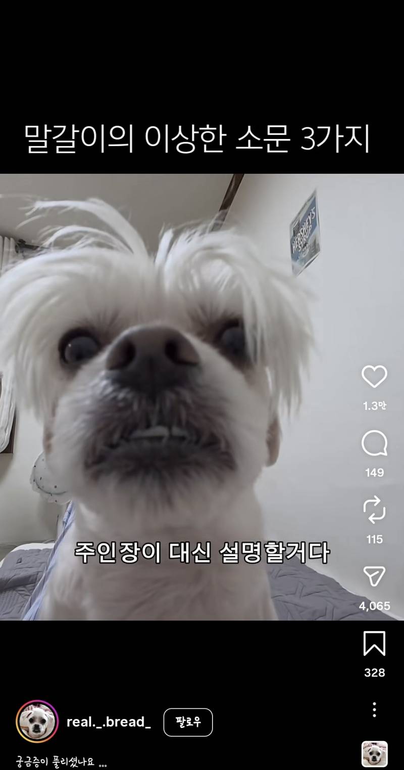 [잡담] 진짜 개힙하게 생겼네 | 인스티즈