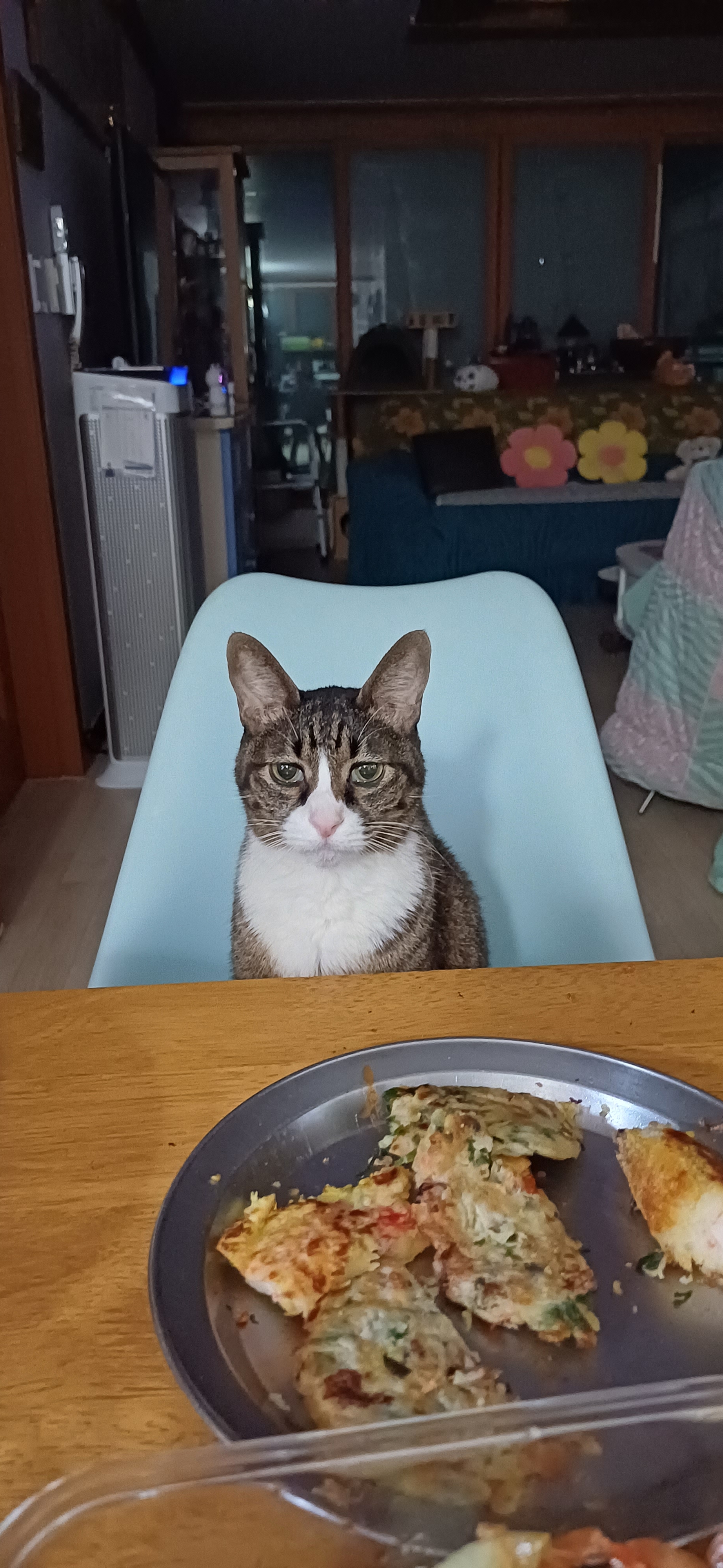 [잡담] 내 밥친구 보고갈래? | 인스티즈