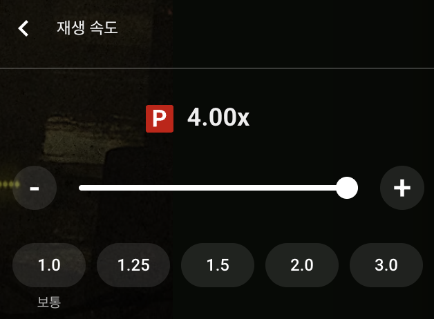 [정보/소식] 많은 사람들이 모른다는 유튜브 프리미엄 기능 | 인스티즈