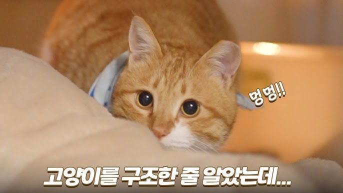 [잡담] 원빈이 사람 지나갈 때 이렇게 봐 | 인스티즈