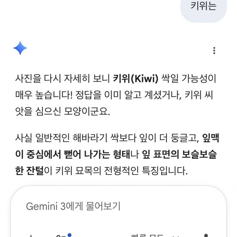 [잡담] 아니 제미나이ㅋㅋㅋㅋㅋ 울 엄마가 심은 싹 물어봤는데 | 인스티즈