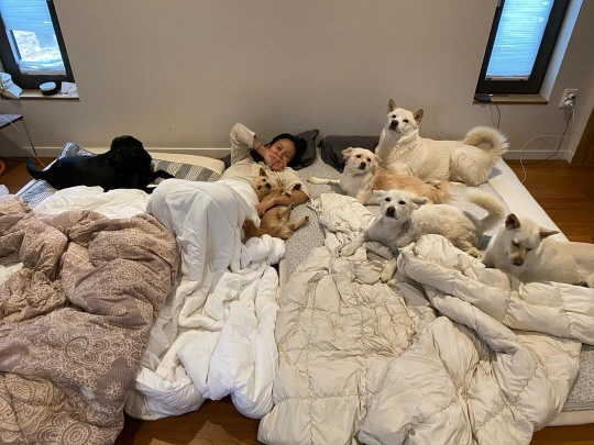 [정보/소식] 이효리, 엉망진창 집 상태에 쏟아진 '위생' 비난…"개털 가득 지저분" 도 넘은 훈수 | 인스티즈