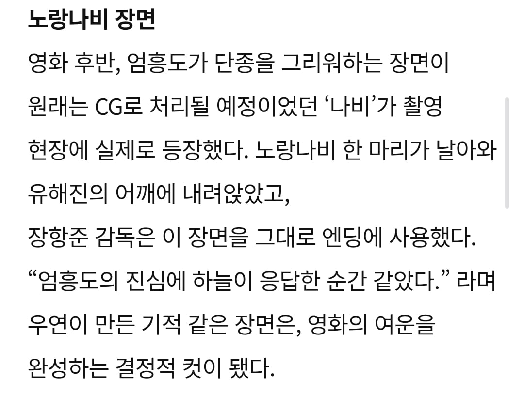 [잡담] 왕사남 3번 봤는데 나비 결국 못 찾았어... | 인스티즈