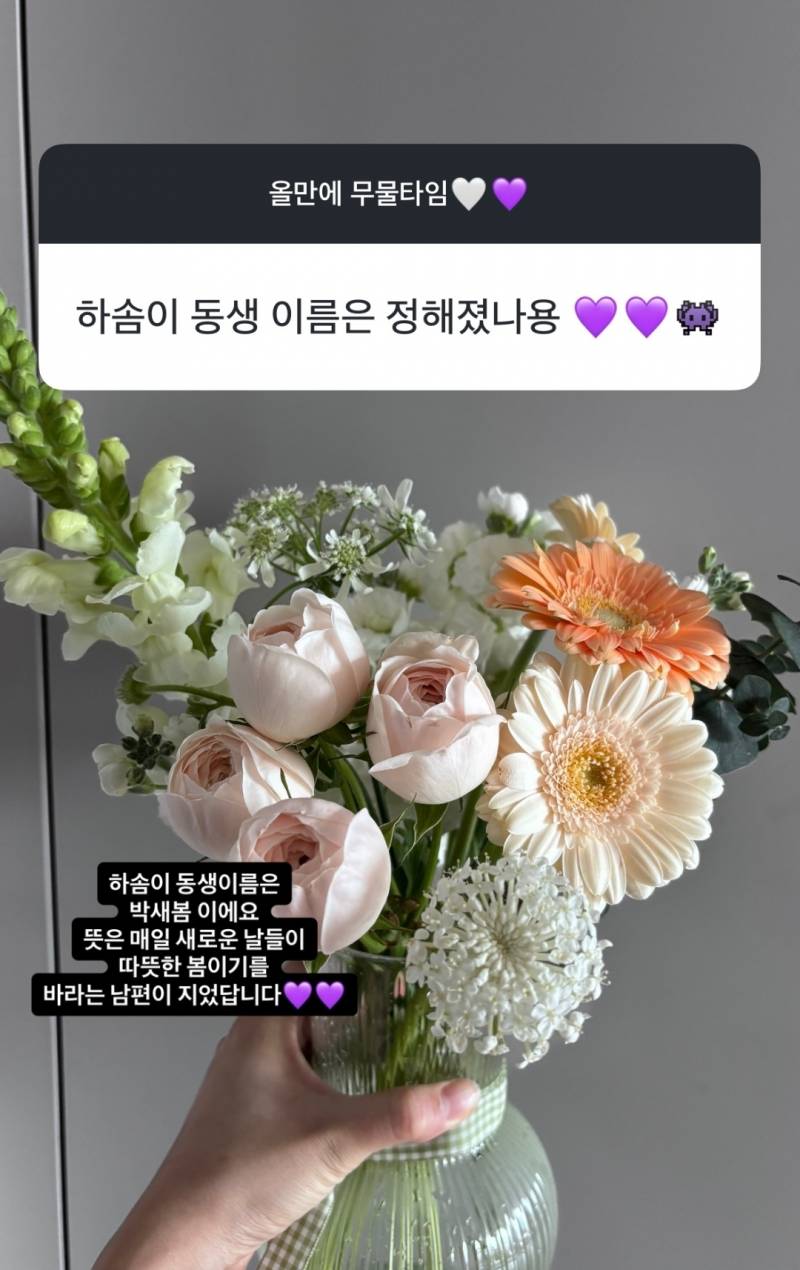 [잡담] 하솜이 동생 이름 | 인스티즈