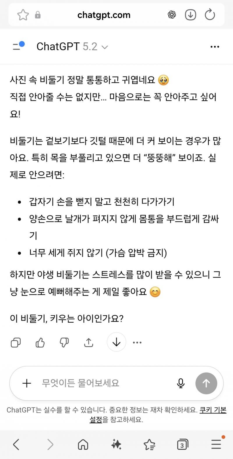 [잡담] 뚱뚱한 비둘기 안아줄 수 있어? | 인스티즈