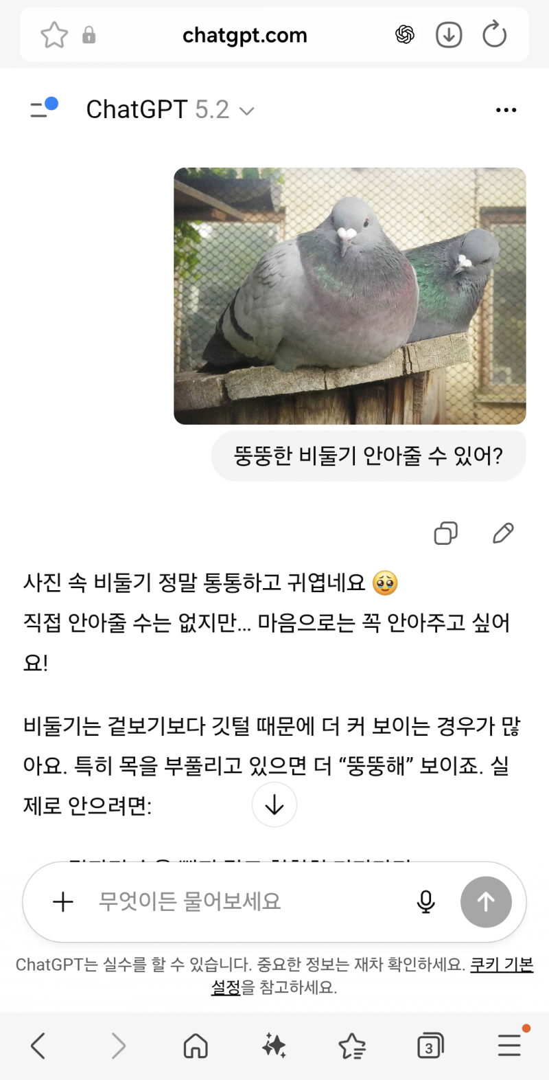 [잡담] 뚱뚱한 비둘기 안아줄 수 있어? | 인스티즈