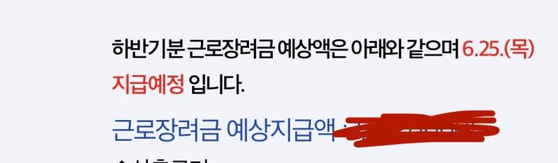 [잡담] 근로장려금 예상지급액 이거 진짜 준다는거야 ?? | 인스티즈