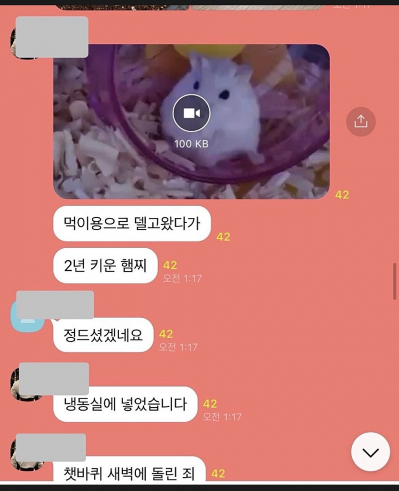 [잡담] 햄스터 가정분양 받아서 파충류 먹이로 주는거 개충격이네... (혐오주의) | 인스티즈