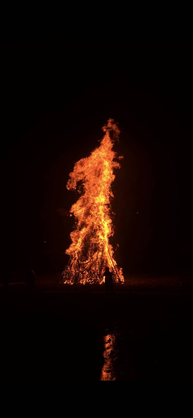 [잡담] 🔥🔥달집태우는거 보고가🔥🔥 | 인스티즈