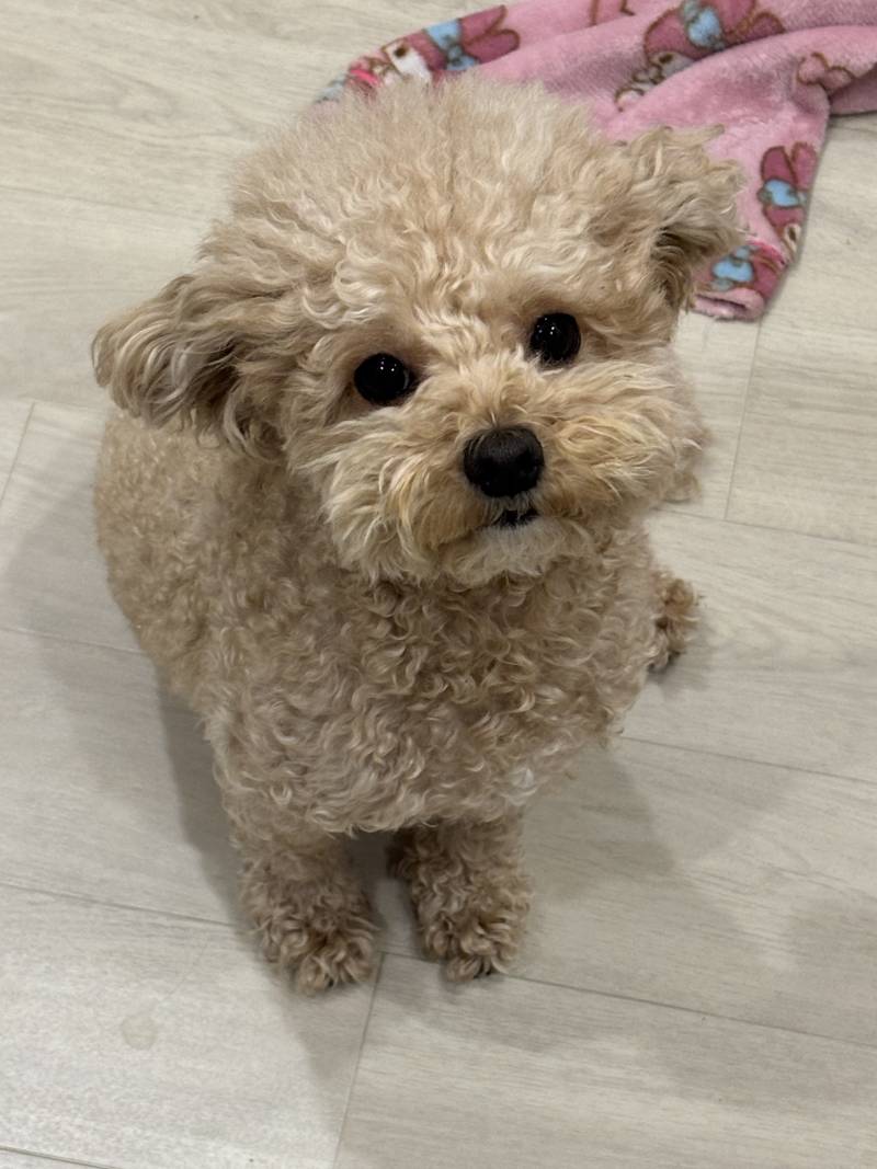 [잡담] 공손하고 미안한 표정.... | 인스티즈
