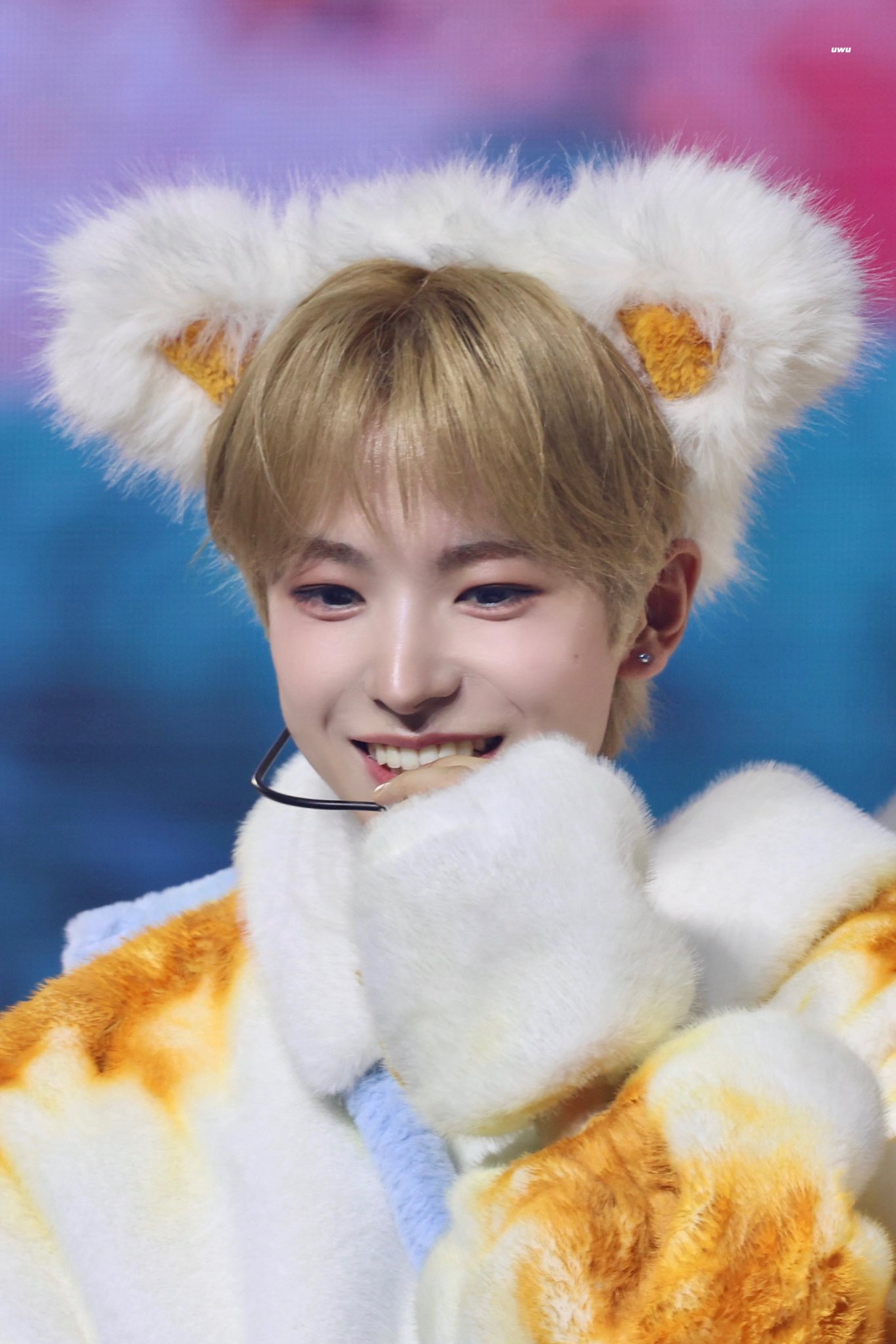 [잡담] 깜냥 치즈냥 조합 너무 좋음 | 인스티즈