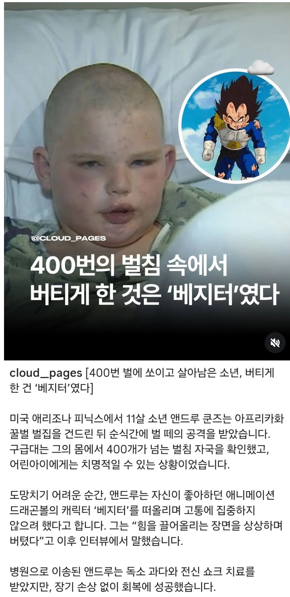 [잡담] 11살 꼬마가 벌침 알러지있는데 400번 맞고 살아남은 방법 | 인스티즈
