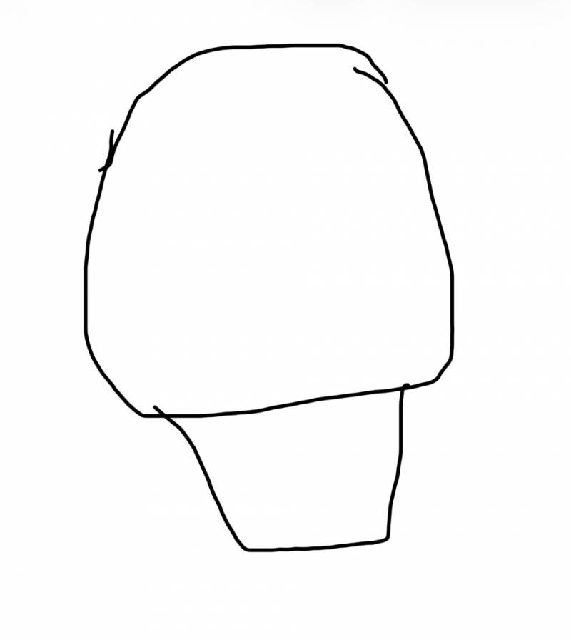 [잡담] 뒷 머리카락이 이렇게 생김 | 인스티즈