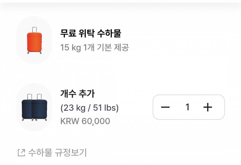 [잡담] 위탁수화물 추가 잘아는 익들 있나요 | 인스티즈