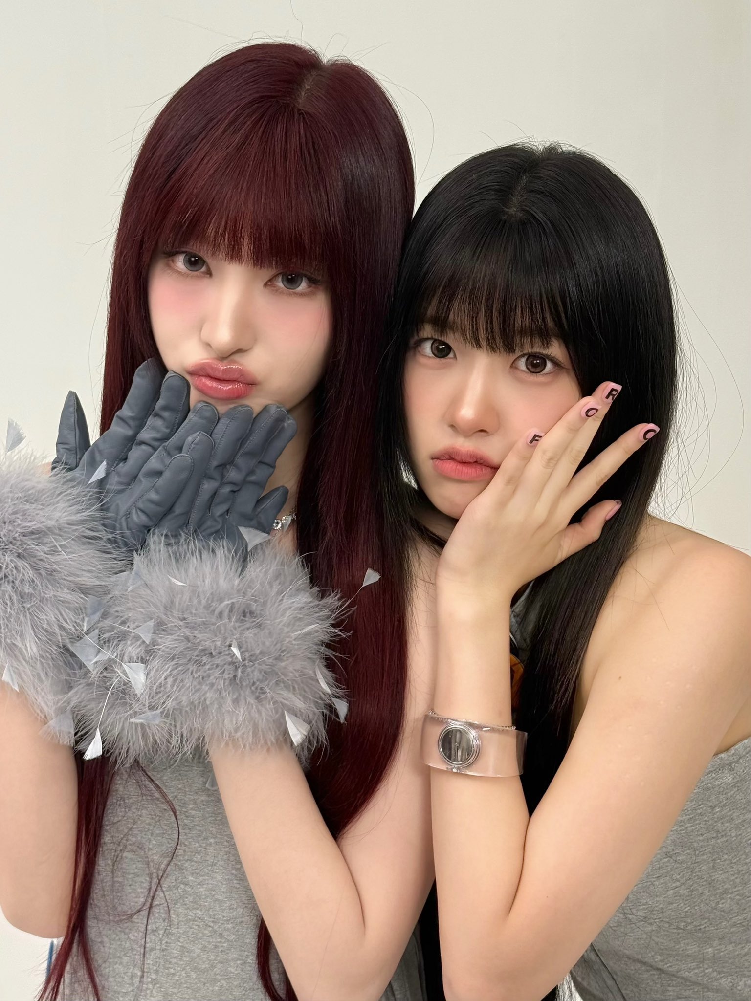 [잡담] 아이브 고양이와 강아지 | 인스티즈