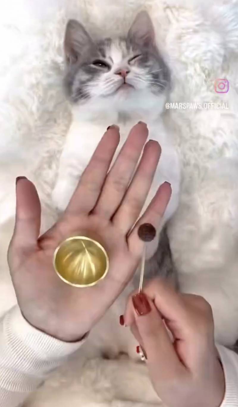 [잡담] 인스타 릴스 어떻게 저장하는거야?? | 인스티즈