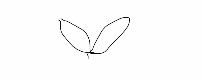 [잡담] 이 나물 이름이 뭐지? | 인스티즈