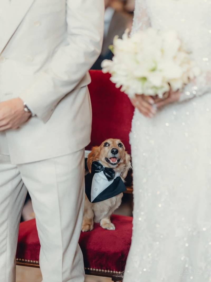 500억짜리 페라리 타고 본인 결혼식 나타난 F1 드라이버(댕댕이를 곁들인) | 인스티즈