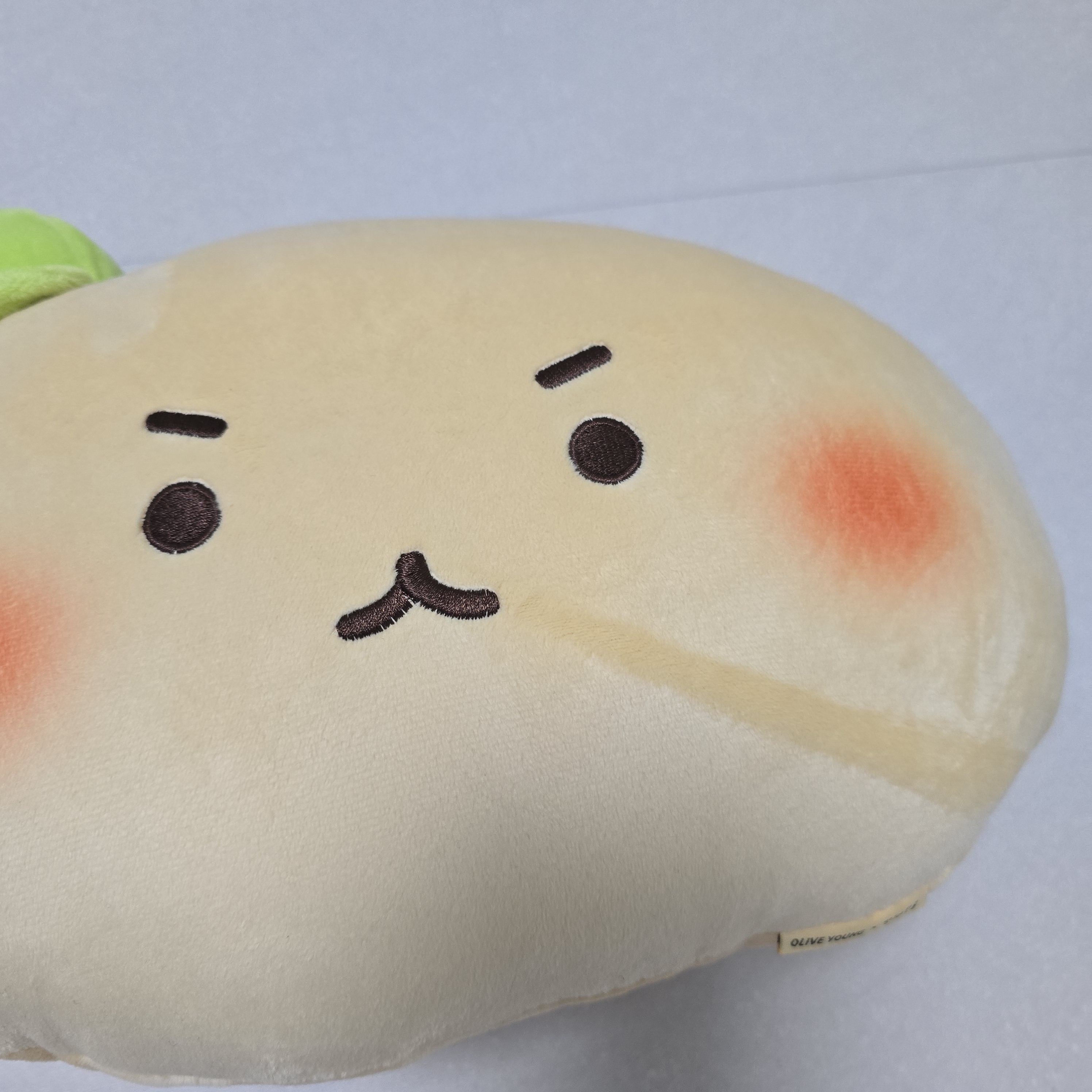 [잡담] 망곰이 쿠션 베고 있다가 일어났는데 | 인스티즈