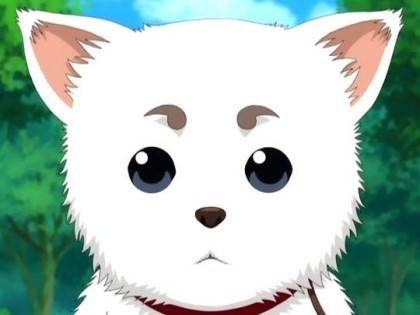 [잡담] 은혼 아는 사람! 어떤 사다하루가 더 귀여워? | 인스티즈