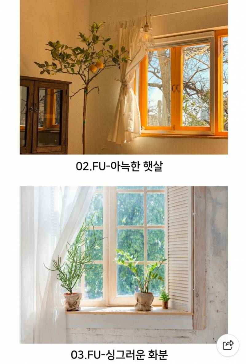 [잡담] 심심한 사람들 오쎄요 오쎄요 | 인스티즈