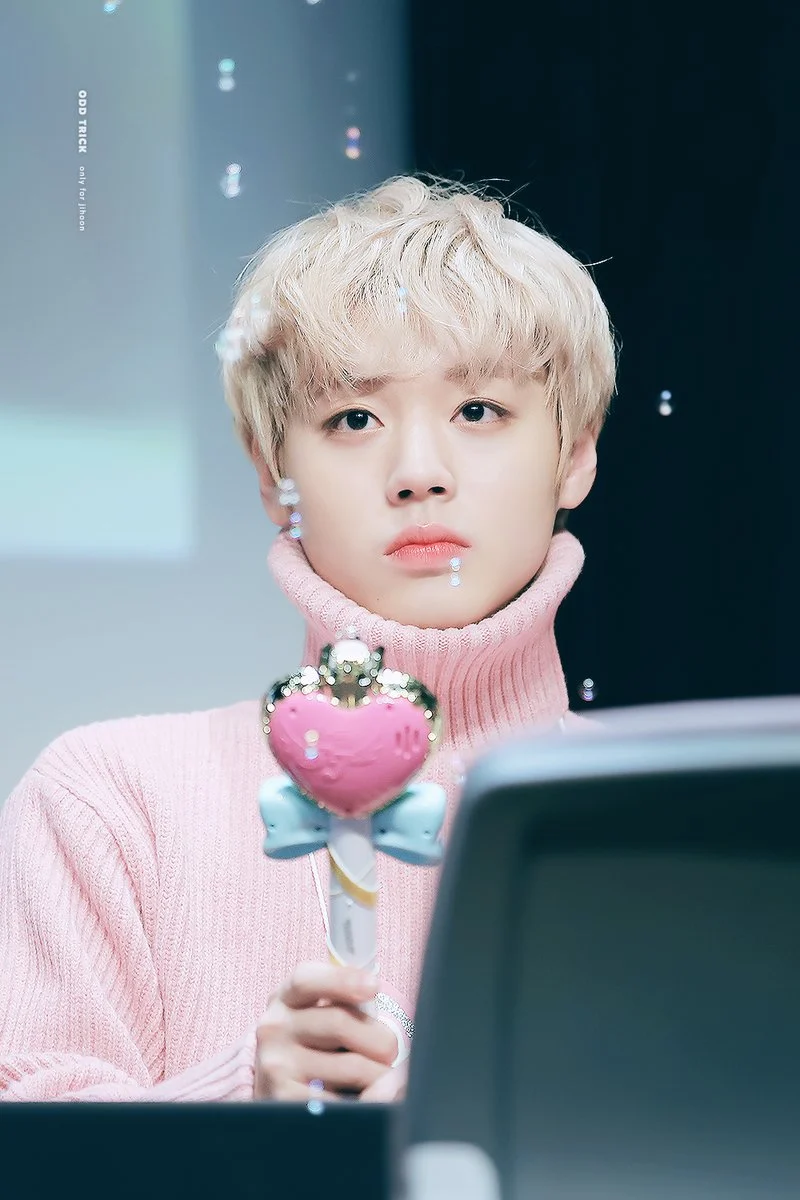 [잡담] 박지훈 퍼컬 과연 쿨톤일까 웜톤일까 | 인스티즈