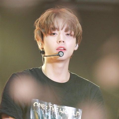 [잡담] 박지훈 퍼컬 과연 쿨톤일까 웜톤일까 | 인스티즈