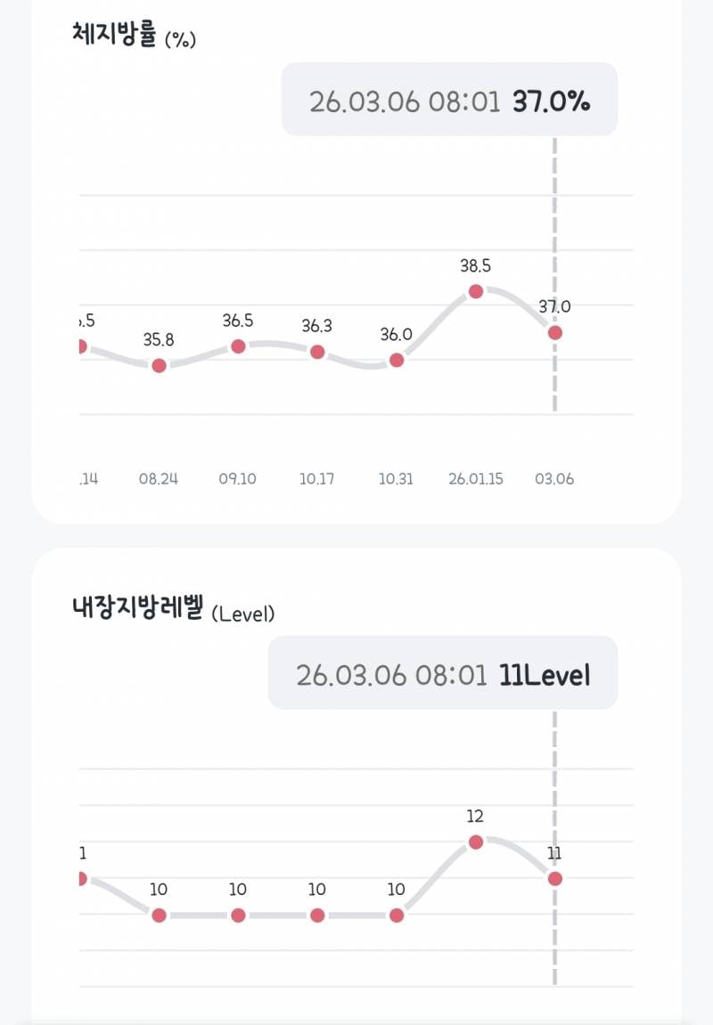 [잡담] 마운자로 1-2주차 후기 (긴글) | 인스티즈